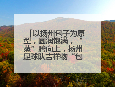 以扬州包子为原型，圆润饱满，“蒸”腾向上，扬州足球队吉祥物“包赢”亮相即售罄