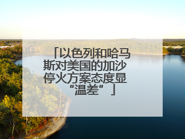 以色列和哈马斯对美国的加沙停火方案态度显“温差”