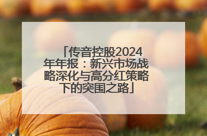 传音控股2024年年报：新兴市场战略深化与高分红策略下的突围之路