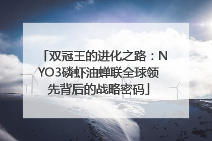 双冠王的进化之路：NYO3磷虾油蝉联全球领先背后的战略密码
