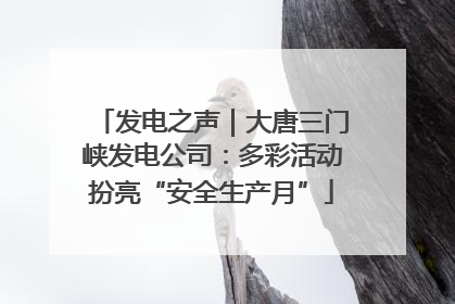 发电之声｜大唐三门峡发电公司：多彩活动扮亮“安全生产月”