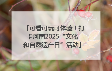 可看可玩可体验！打卡河南2025“文化和自然遗产日”活动