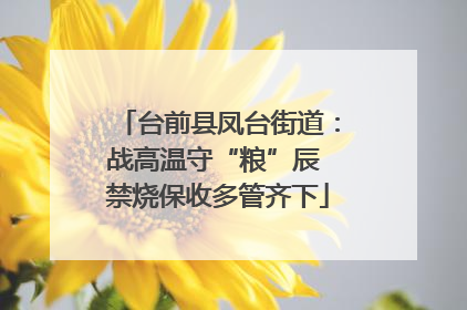 台前县凤台街道：战高温守“粮”辰 禁烧保收多管齐下