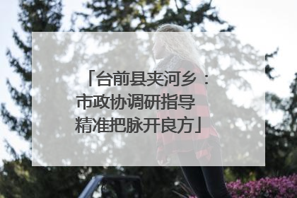 台前县夹河乡：市政协调研指导 精准把脉开良方