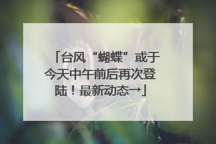台风“蝴蝶”或于今天中午前后再次登陆！最新动态→
