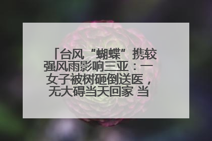 台风“蝴蝶”携较强风雨影响三亚：一女子被树砸倒送医，无大碍当天回家 当地已紧急清障