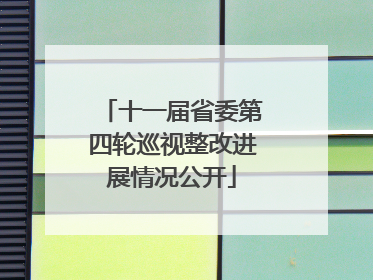 十一届省委第四轮巡视整改进展情况公开