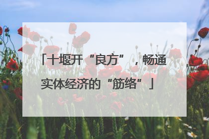十堰开“良方”，畅通实体经济的“筋络”