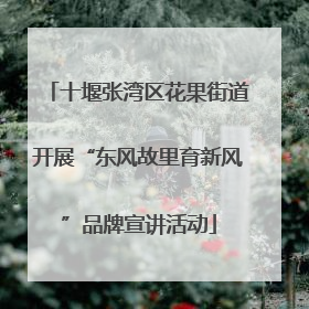 十堰张湾区花果街道开展“东风故里育新风”品牌宣讲活动