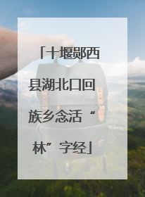十堰郧西县湖北口回族乡念活“林”字经