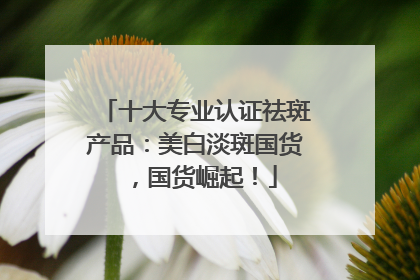 十大专业认证祛斑产品：美白淡斑国货，国货崛起！