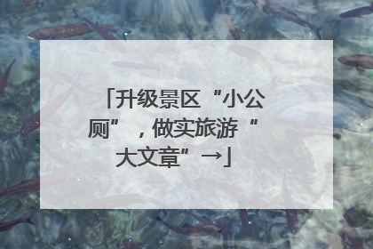 升级景区“小公厕”，做实旅游“大文章”→