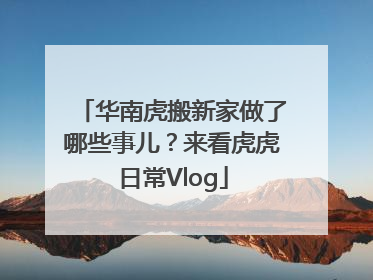 华南虎搬新家做了哪些事儿？来看虎虎日常Vlog