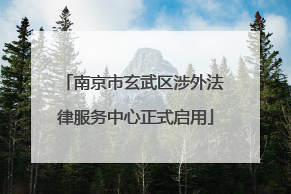 南京市玄武区涉外法律服务中心正式启用
