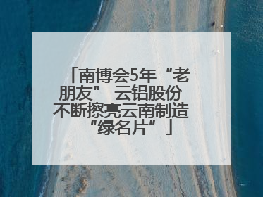 南博会5年“老朋友” 云铝股份不断擦亮云南制造“绿名片”