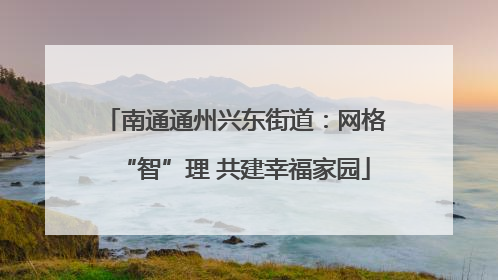 南通通州兴东街道：网格“智”理 共建幸福家园