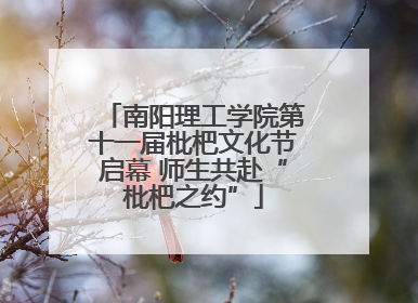 南阳理工学院第十一届枇杷文化节启幕 师生共赴“枇杷之约”