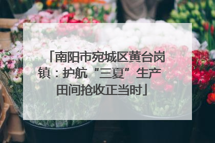 南阳市宛城区黄台岗镇：护航“三夏”生产 田间抢收正当时