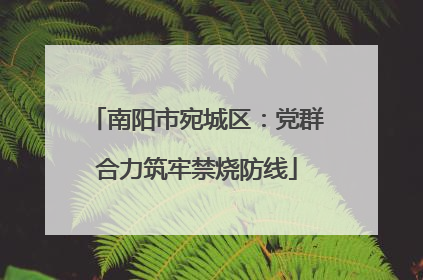 南阳市宛城区：党群合力筑牢禁烧防线