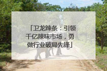 卫龙辣条：引领千亿辣味市场，勇做行业破局先锋
