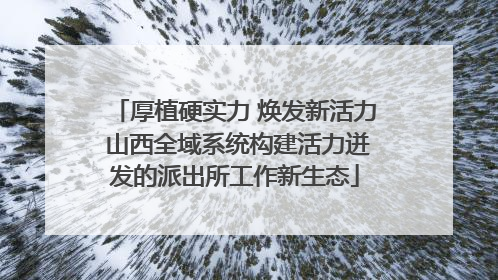 厚植硬实力 焕发新活力 山西全域系统构建活力迸发的派出所工作新生态
