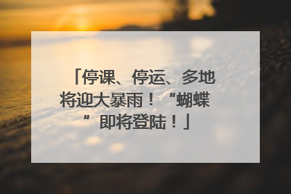 停课、停运、多地将迎大暴雨！“蝴蝶”即将登陆！