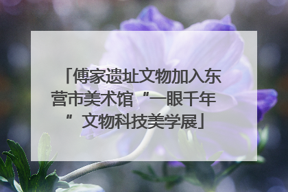 傅家遗址文物加入东营市美术馆“一眼千年”文物科技美学展