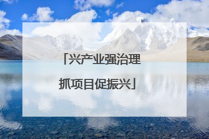 兴产业强治理 抓项目促振兴