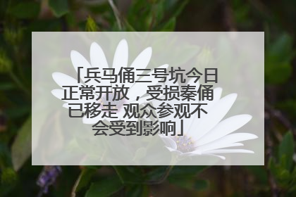 兵马俑三号坑今日正常开放，受损秦俑已移走 观众参观不会受到影响