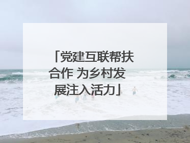 党建互联帮扶合作 为乡村发展注入活力