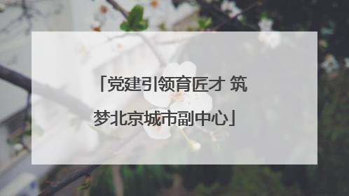 党建引领育匠才 筑梦北京城市副中心