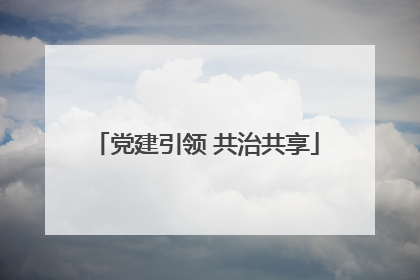 党建引领 共治共享
