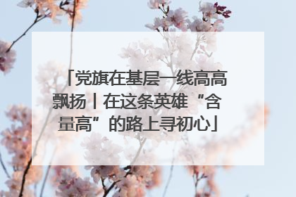 党旗在基层一线高高飘扬丨在这条英雄“含量高”的路上寻初心