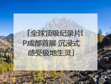 全球顶级纪录片IP成都首展 沉浸式感受极地生灵