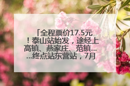 全程票价17.5元！泰山站始发，途经上高镇、燕家庄、范镇……终点站东营站，7月1日开通！