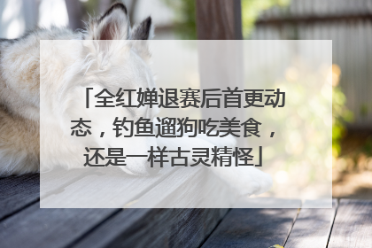 全红婵退赛后首更动态，钓鱼遛狗吃美食，还是一样古灵精怪