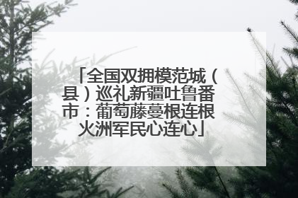 全国双拥模范城（县）巡礼新疆吐鲁番市：葡萄藤蔓根连根 火洲军民心连心