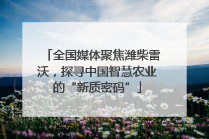 全国媒体聚焦潍柴雷沃，探寻中国智慧农业的“新质密码”