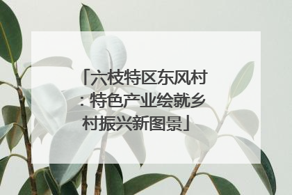 六枝特区东风村：特色产业绘就乡村振兴新图景