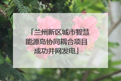 兰州新区城市智慧能源岛协同耦合项目成功并网发电