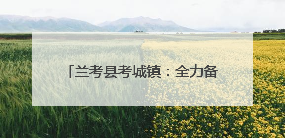 兰考县考城镇：全力备战“三夏”安全生产，确保小麦“丰收在仓”