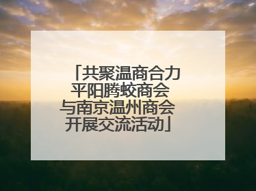 共聚温商合力 平阳腾蛟商会与南京温州商会开展交流活动