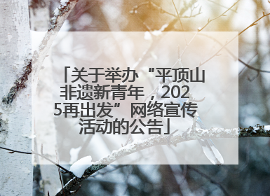 关于举办“平顶山非遗新青年，2025再出发”网络宣传活动的公告