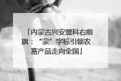 内蒙古兴安盟科右前旗：“蒙”字标引领农畜产品走向全国
