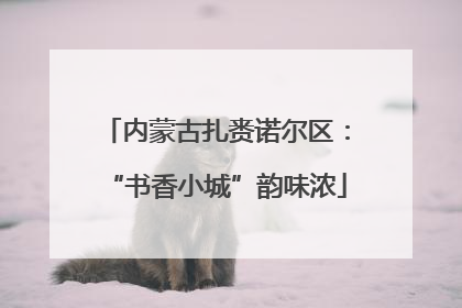 内蒙古扎赉诺尔区：“书香小城”韵味浓