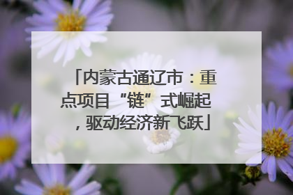内蒙古通辽市：重点项目“链”式崛起，驱动经济新飞跃