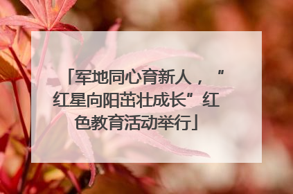 军地同心育新人，“红星向阳茁壮成长”红色教育活动举行