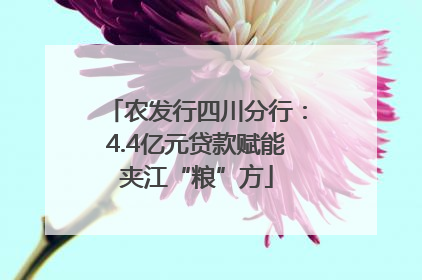 农发行四川分行：4.4亿元贷款赋能夹江“粮”方