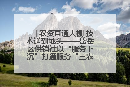 农资直通大棚 技术送到地头——岱岳区供销社以“服务下沉”打通服务“三农”最后一公里