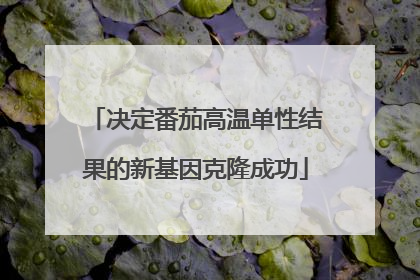 决定番茄高温单性结果的新基因克隆成功